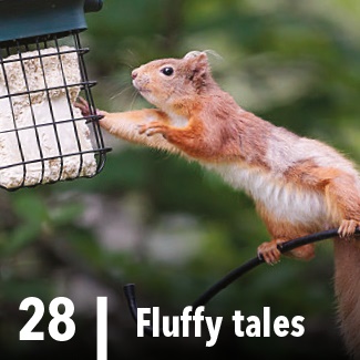Fluffy tales Fluffy tales
